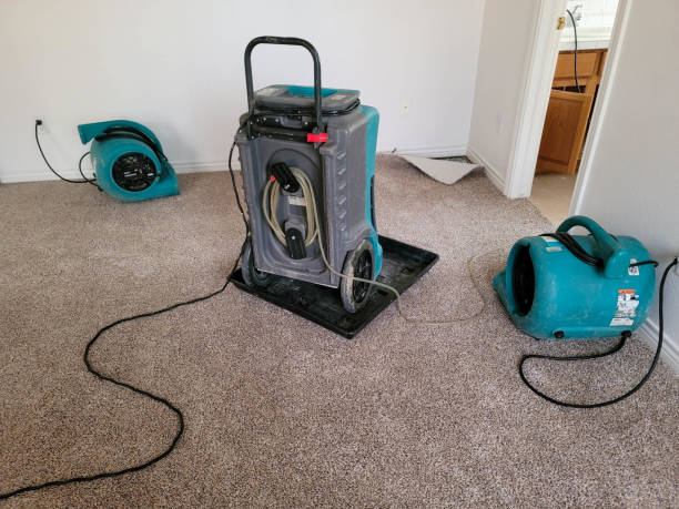 Best Water damage cleanup near me  in Svis, IL