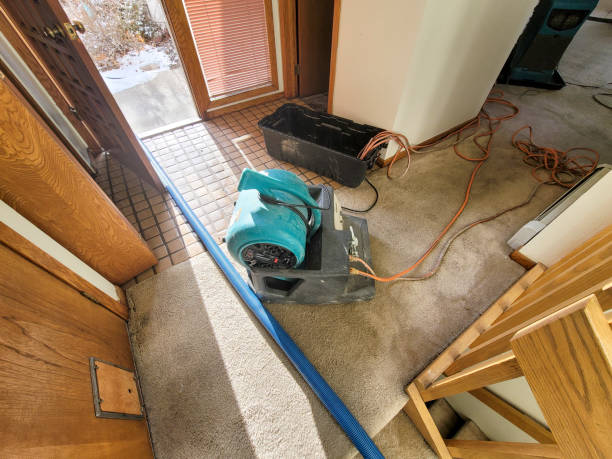 Best Local water damage restoration  in Svis, IL