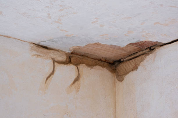 Reliable Silvis, IL Water damage restoration Solutions
