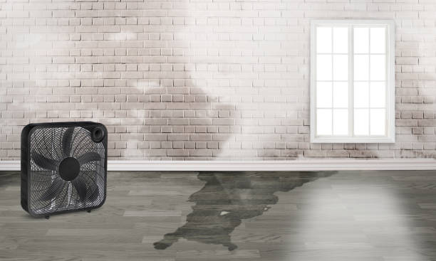 Carpet water damage restoration in Silvis, IL