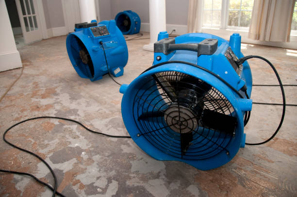 Best Sewage cleanup and water damage restoration  in Svis, IL