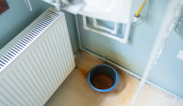 Best Water damage restoration near me  in Svis, IL