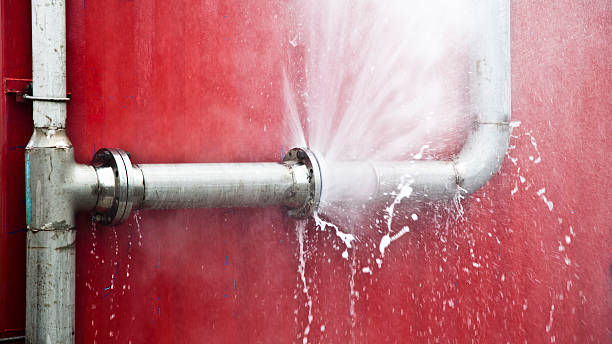 Best Fire Damage Restoration  in Svis, IL